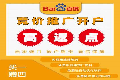 百度竞价入门必看：实操技巧与成功案例